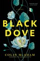 Black dove : a novel  Cover Image