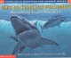 Go to record What do sharks eat for dinner : Questions and Answers abou...